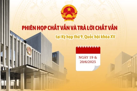 [Infographic] Chất vấn các nhóm vấn đề thuộc lĩnh vực tài chính, giáo dục và đào tạo tại Kỳ họp thứ 9, Quốc hội khóa XV