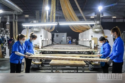 Doanh nghiệp Việt rất cần được tiếp sức bằng một hệ sinh thái hỗ trợ toàn diện để đủ sức vươn ra biển lớn. (Ảnh minh họa: THÀNH ĐẠT)