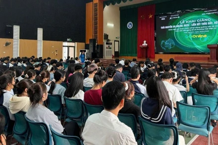 Hoạt động Thái Nguyên Go Online 2025 - đào tạo chuyên sâu về quảng cáo và bán hàng trên nền tảng số. (Ảnh minh họa: BCT)