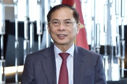 Phó Thủ tướng Chính phủ, Bộ trưởng Ngoại giao Bùi Thanh Sơn. (Ảnh: Bộ Ngoại giao)