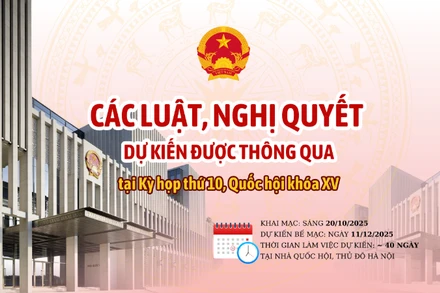 [Infographic] Các luật, nghị quyết dự kiến được thông qua tại Kỳ họp thứ 10, Quốc hội khóa XV