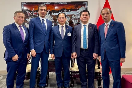 Phó Thủ tướng Bùi Thanh Sơn tiếp Chủ tịch, Giám đốc điều hành Tập đoàn Fedex. (Ảnh: Bộ Ngoại giao)