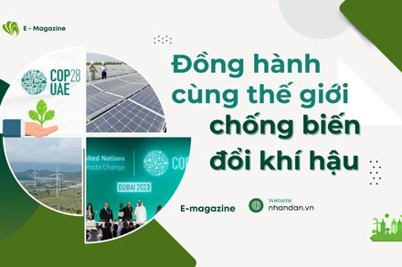 Đồng hành cùng thế giới chống biến đổi khí hậu