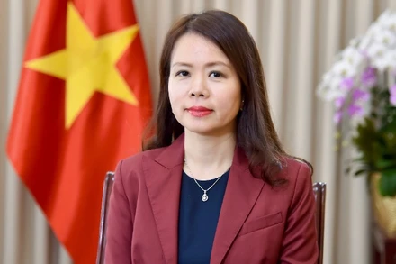 Thứ trưởng Ngoại giao Nguyễn Minh Hằng. (Ảnh: Báo Thế giới và Việt Nam)