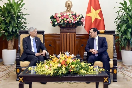 Phó Thủ tướng Chính phủ, Bộ trưởng Ngoại giao Bùi Thanh Sơn tiếp Bí thư Thường trực Bộ Ngoại giao Singapore Albert Chua. (Ảnh: Báo Thế giới và Việt Nam)