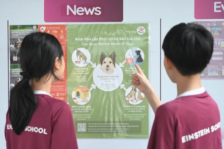 Học sinh Trường Einstein Vũng Tàu tìm hiểu các thông tin về chăm sóc thú cưng và phúc lợi động vật. (Ảnh: FOUR PAWS)