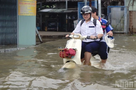 (Ảnh minh họa: THẾ ANH)