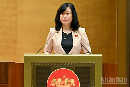 Bộ trưởng Y tế Đào Hồng Lan trình bày tóm tắt tờ trình. (Ảnh: DUY LINH)