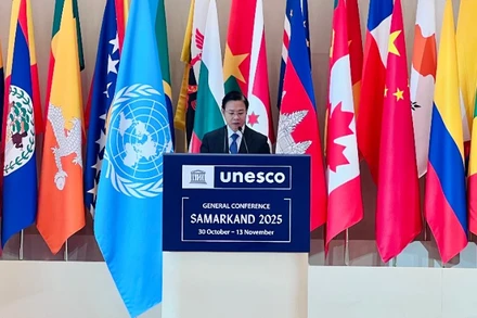 Thứ trưởng Ngoại giao Ngô Lê Văn phát biểu chính sách tại phiên toàn thể kỳ họp. (Ảnh: Bộ Ngoại giao)