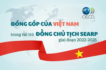 [Infographic] Đóng góp của Việt Nam trong vai trò Đồng Chủ tịch Chương trình Đông Nam Á giai đoạn 2022-2025