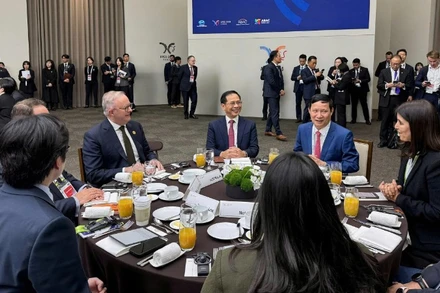 Phó Thủ tướng Chính phủ Bùi Thanh Sơn tham dự Đối thoại giữa các nhà lãnh đạo APEC với Hội đồng Tư vấn kinh doanh APEC. (Ảnh: Bộ Ngoại giao)