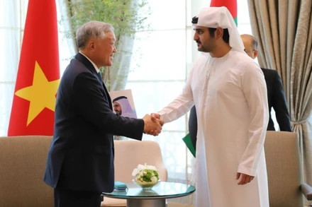 Phó Thủ tướng Thường trực Chính phủ Nguyễn Hòa Bình hội đàm với Phó Thủ tướng, Bộ trưởng Tài chính UAE Maktoum bin Mohamed bin Rashid Al Maktoum. (Ảnh: VGP)