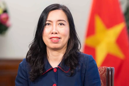Thứ trưởng Ngoại giao Lê Thị Thu Hằng. (Ảnh: Báo Thế giới và Việt Nam)