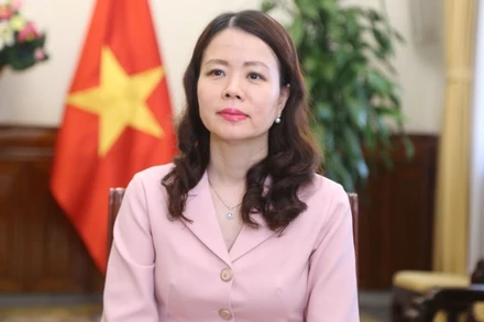 Thứ trưởng Ngoại giao Nguyễn Minh Hằng. (Ảnh: Bộ Ngoại giao)