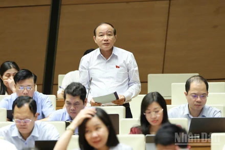 Đại biểu Lã Thanh Tân (Hải Phòng) phát biểu. (Ảnh: DUY LINH)