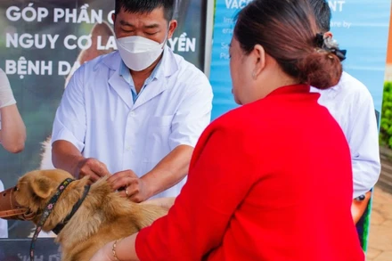 Tiêm phòng cho thú cưng để ngăn ngừa bệnh dại. (Ảnh minh họa: FOUR PAWS)