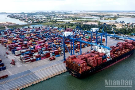 Doanh nghiệp cần tuân thủ đầy đủ các hướng dẫn kỹ thuật và quy trình nghiệp vụ khi thực hiện các thủ tục trên Hệ thống eCoSys. (Ảnh minh họa: THÀNH ĐẠT)