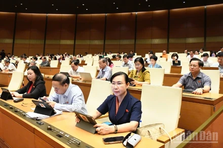 Các đại biểu Quốc hội làm việc tại hội trường, chiều 12/11/2025. (Ảnh: DUY LINH)