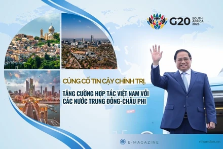 Củng cố tin cậy chính trị, tăng cường hợp tác Việt Nam với các nước Trung Đông-châu Phi