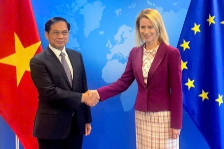 Phó Thủ tướng Chính phủ Bùi Thanh Sơn làm việc với Phó Chủ tịch Ủy ban châu Âu (EC) Kaja Kallas. (Ảnh: Bộ Ngoại giao)