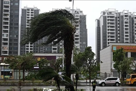 Gió lớn khi bão Ragasa đổ bộ, tại thành phố Dương Giang, tỉnh Quảng Đông, Trung Quốc, ngày 24/9/2025. (Ảnh: THX/TTXVN)