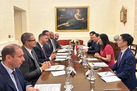 Thứ trưởng Ngoại giao Lê Thị Thu Hằng làm việc với Phó Thủ tướng, Bộ trưởng Ngoại giao và Du lịch Malta Ian Borg. (Ảnh: Bộ Ngoại giao)