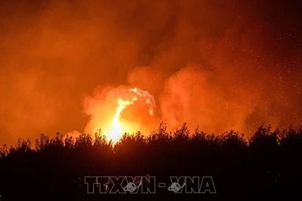 Khói lửa bốc lên từ đám cháy rừng tại tỉnh Izmir, Thổ Nhĩ Kỳ ngày 27/6/2025. Ảnh tư liệu(minh họa): THX/TTXVN