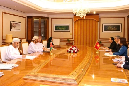 Thứ trưởng Ngoại giao Nguyễn Minh Hằng đồng chủ trì Tham vấn chính trị Việt Nam-Oman. (Ảnh: Bộ Ngoại giao)