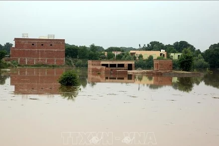 Cảnh ngập lụt tại Multan, Pakistan. (Ảnh: THX/TTXVN)