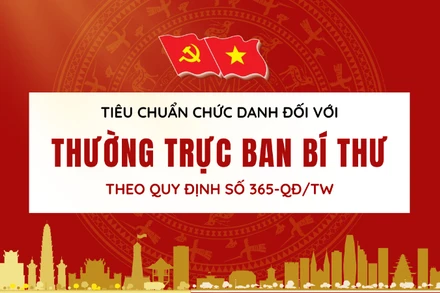 [Infographic] Tiêu chuẩn chức danh Thường trực Ban Bí thư theo Quy định 365