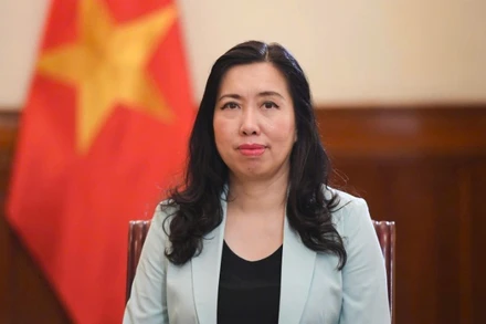 Thứ trưởng Ngoại giao Lê Thị Thu Hằng. (Ảnh: Báo Thế giới và Việt Nam)