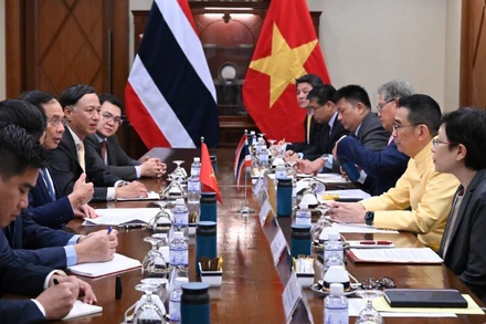 Phó Thủ tướng Chính phủ, Bộ trưởng Ngoại giao Bùi Thanh Sơn gặp Bộ trưởng Ngoại giao Thái Lan. (Ảnh: Bộ Ngoại giao)