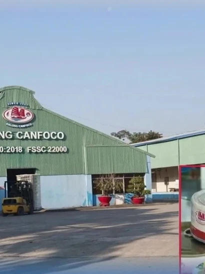 [Video] Bắt khẩn cấp Tổng Giám đốc Công ty CP Đồ hộp Hạ Long 