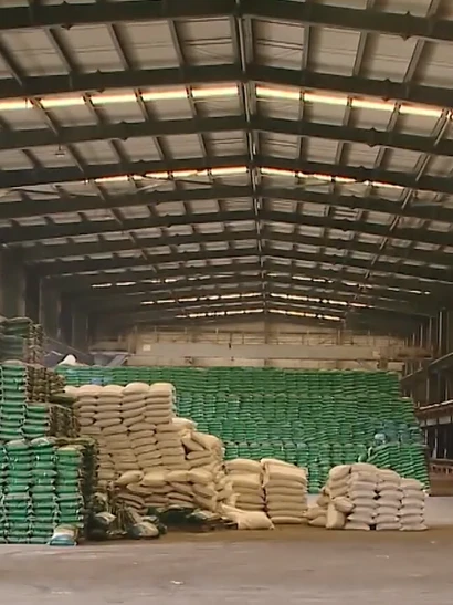 [Video] Giá phân bón tăng mạnh do ảnh hưởng của chiến sự Trung Đông