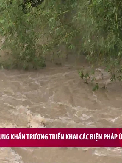 [Video] Miền Trung khẩn trương triển khai các biện pháp ứng phó mưa lũ