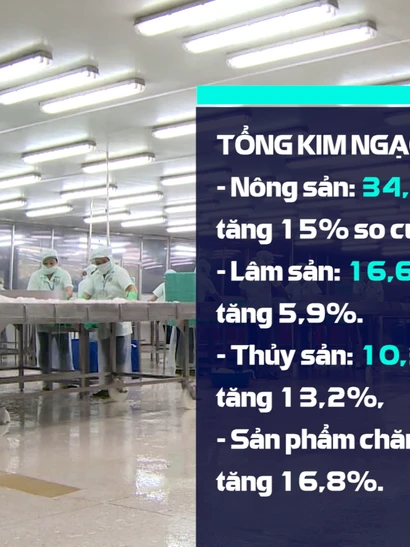 [Video] Xuất khẩu nông, lâm, thủy sản vượt 64 tỷ USD trong 11 tháng
