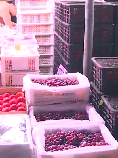 [Video] Tăng cường kiểm tra an toàn thực phẩm phục vụ Tết và lễ hội Xuân 2026 