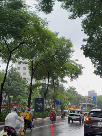 [Video] Mưa rét nhiều nơi trên cả nước vào đúng dịp Tết Dương lịch 2026