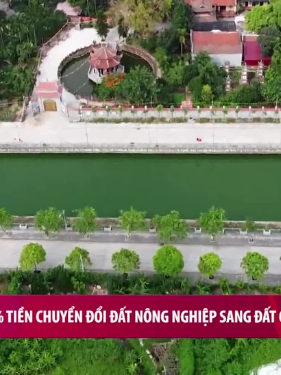 [Video] Giảm 70% tiền chuyển đổi đất nông nghiệp sang đất ở từ năm 2026
