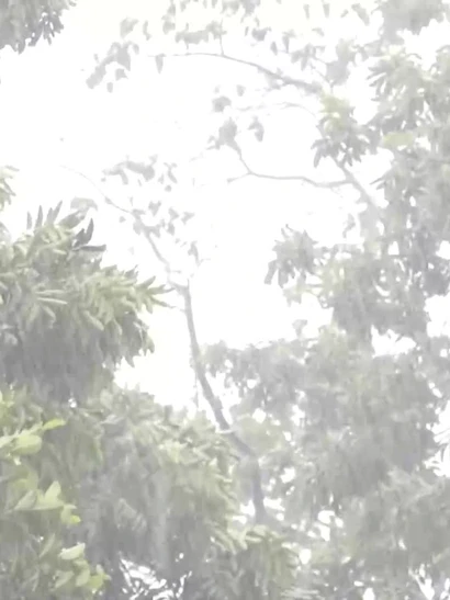 [Video] Cảnh báo lốc, sét và gió giật mạnh tại khu vực cao nguyên và Nam Bộ