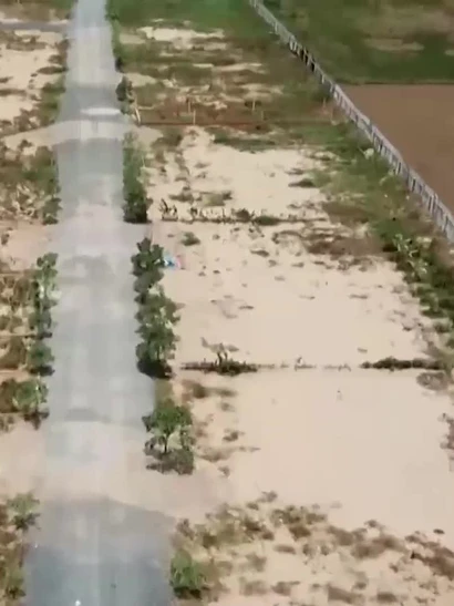 [Video] TP Hồ Chí Minh đề xuất giảm 20–25% giá đất nông nghiệp trong bảng giá mới