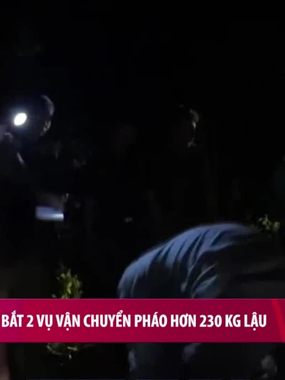 [Video] Liên tiếp bắt 2 vụ vận chuyển pháo trái phép hơn 230 kg 