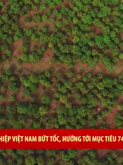 [Video] Nông nghiệp Việt Nam bứt tốc, hướng tới mục tiêu 74 tỷ Đô la Mỹ