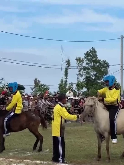 [Video] Sôi động hội đua ngựa gò Thì Thùng đầu Xuân Bính Ngọ