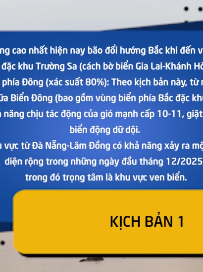 [Video] Hai kịch bản bão số 15