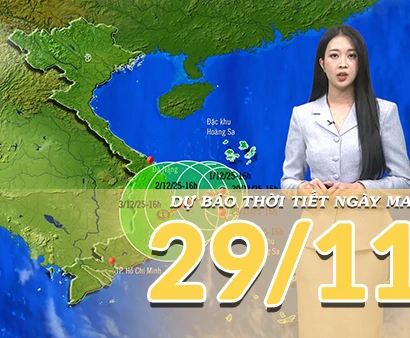 [Video] Dự báo thời tiết đêm nay và ngày mai 29/11/2025: Bão số 15 di chuyển chậm và đang suy yếu dần trên biển 