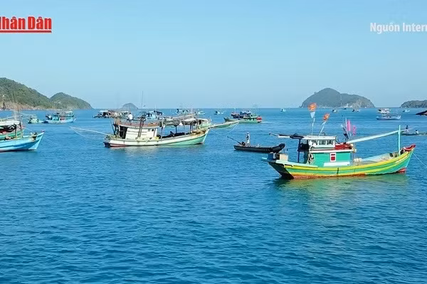 [Video] Du lịch Việt Nam tăng trưởng mạnh nhất thế giới nửa đầu 2025