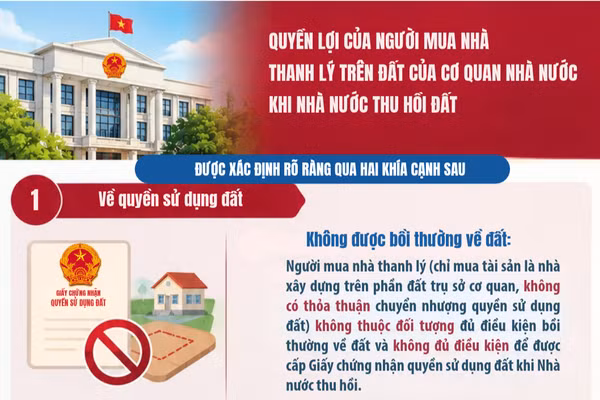 [Infographic] Quyền lợi của người mua nhà thanh lý trên đất của cơ quan nhà nước khi nhà nước thu hồi đất