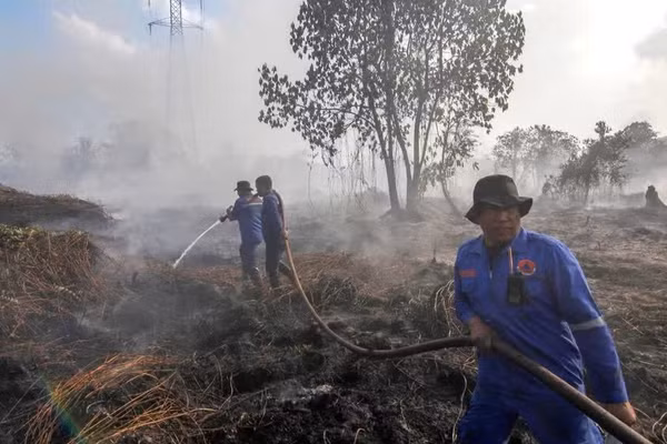 Lính cứu hỏa nỗ lực dập lửa cháy rừng tại Pekanbaru, tỉnh Riau, Indonesia trong mùa khô năm 2025. (Ảnh: THX/TTXVN)