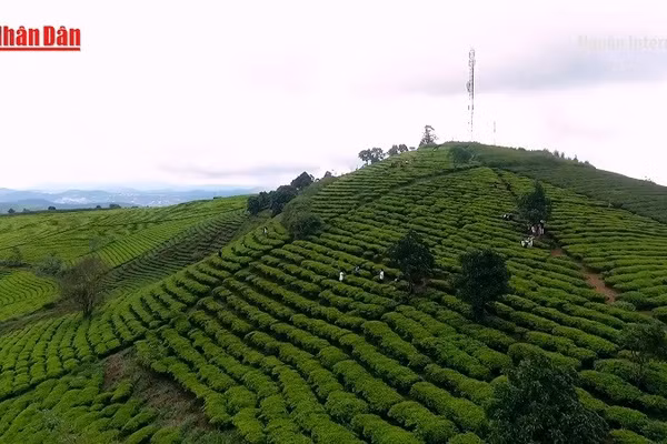 [Video] Đồng bộ giải pháp, tạo đột phá cho du lịch Việt Nam